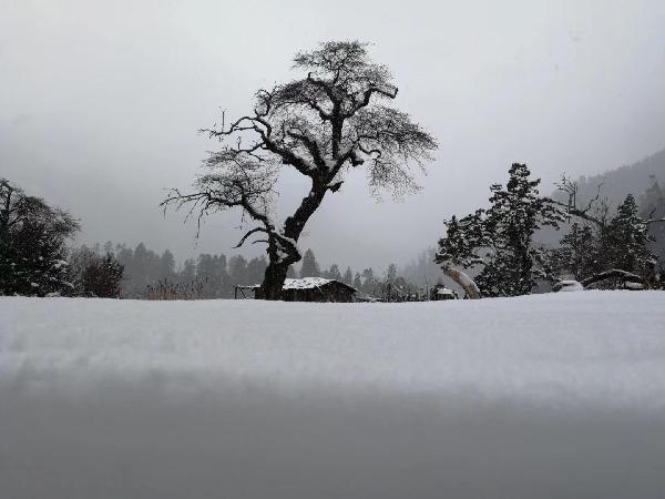 油漆墙面