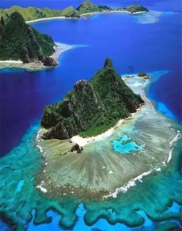 村书记走进直播间，为观众集齐山东年货“地图”